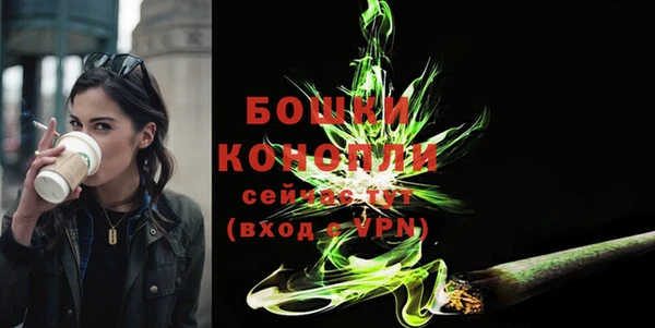 spice Белокуриха