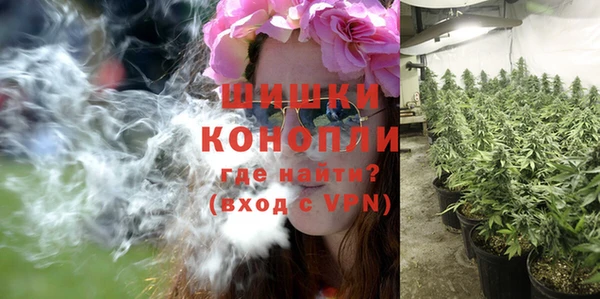 мет Нея