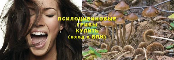 spice Белокуриха